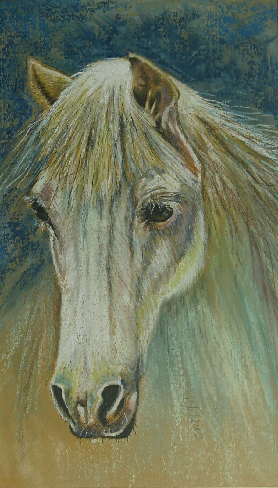 Pastel Of A White Horse By Carol Evans photo furniture