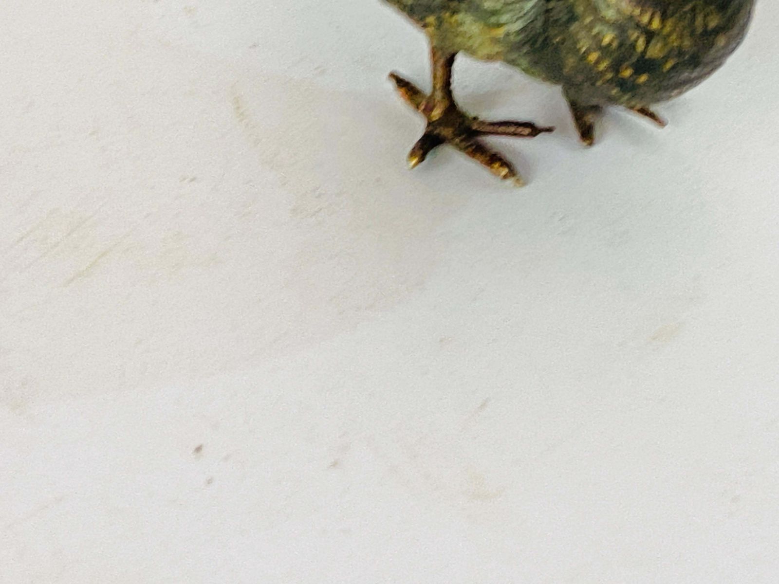 Antique Vienna Bronze Sculpture Of A Partridge By Bergman, Austria, Ca. 1900 photo Art