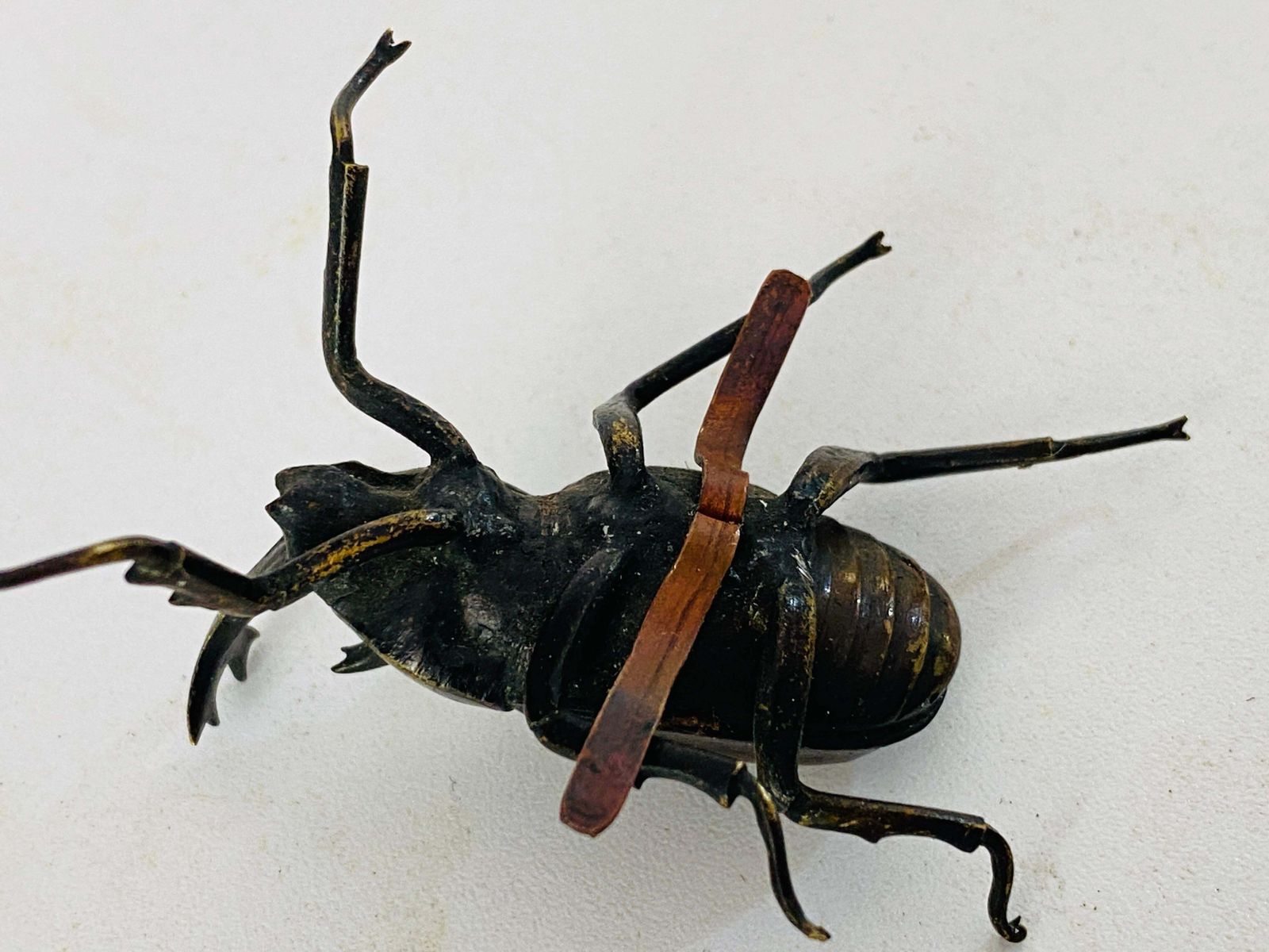 Antique Vienna Bronze Sculpture Of Beetles In Bergman Style Austria Set Of 2 photo buy