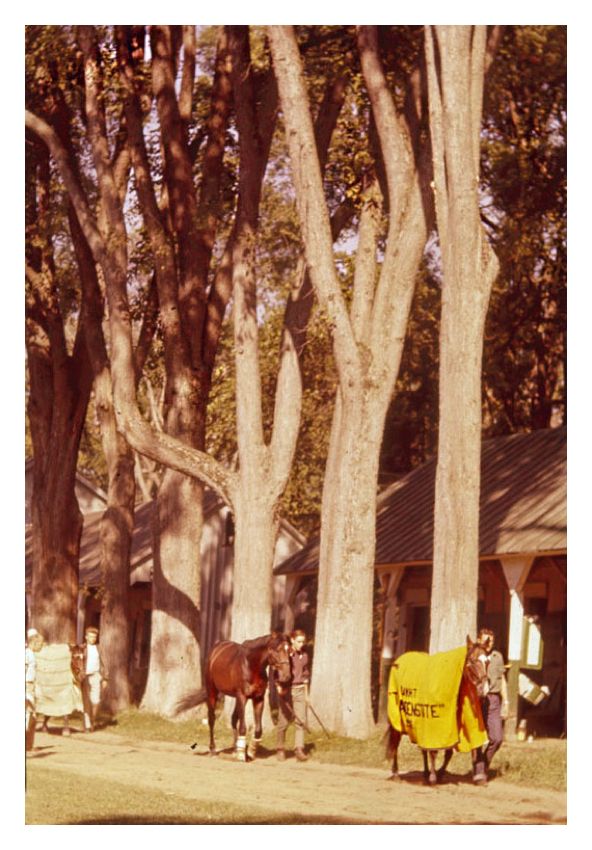 Horses And Stable Lads By Toni Frissell Oversize Archival Pigment Print Framed In Brown photo furniture