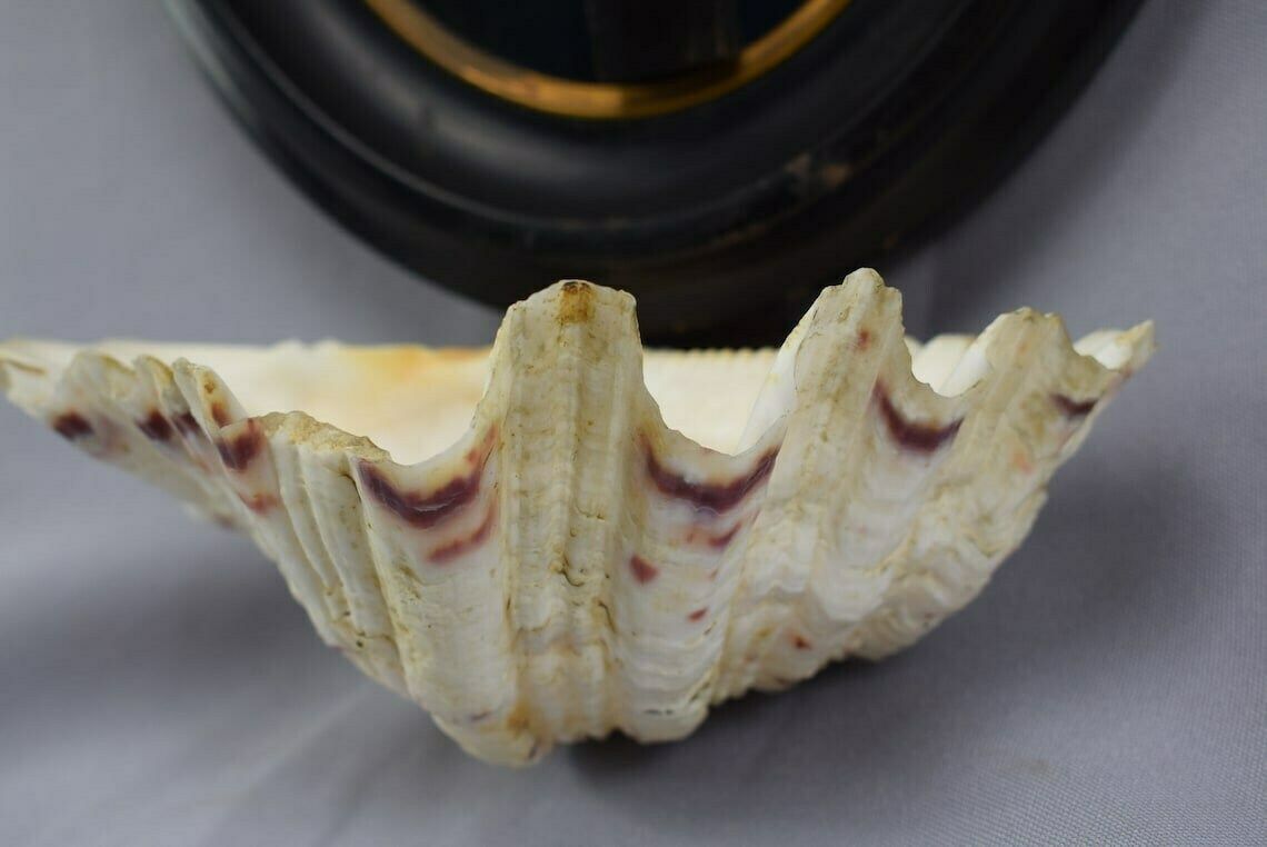Wall Holy Water Font Crucifix Seashell Vintage Jesus Christ Cross Black Frame photo vinterior