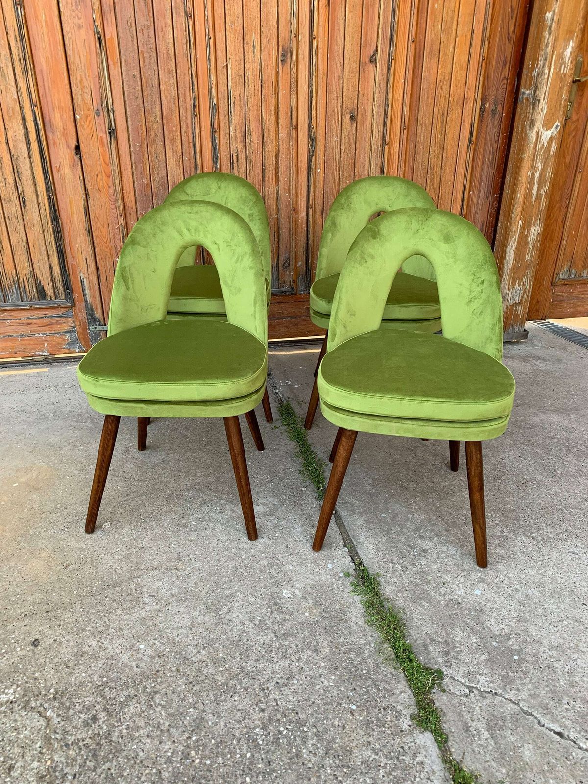 Mid Century Dining Chairs By Antonín šuman For Tatra Nábytok, 1960s, Set Of 4 photo vintage