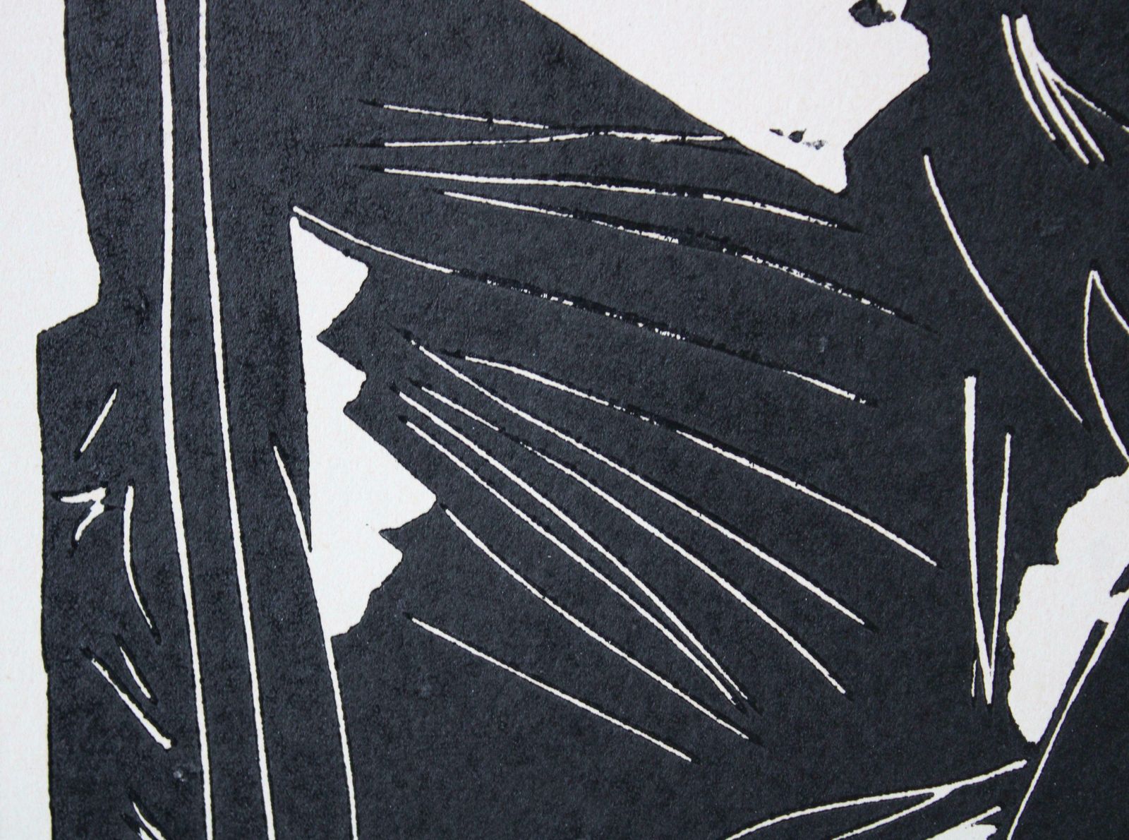 Arturs Mucenieks In Front Of The Mirror 19/100. Paper, Linocut, 1970 1970 photo 246.0