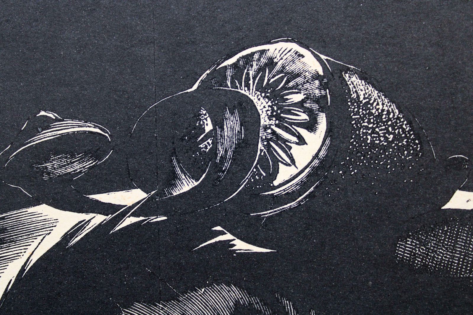 Olgerts Abelite Still Life 13/100. Paper, Linocut, 5/100,  1967 photo vintage