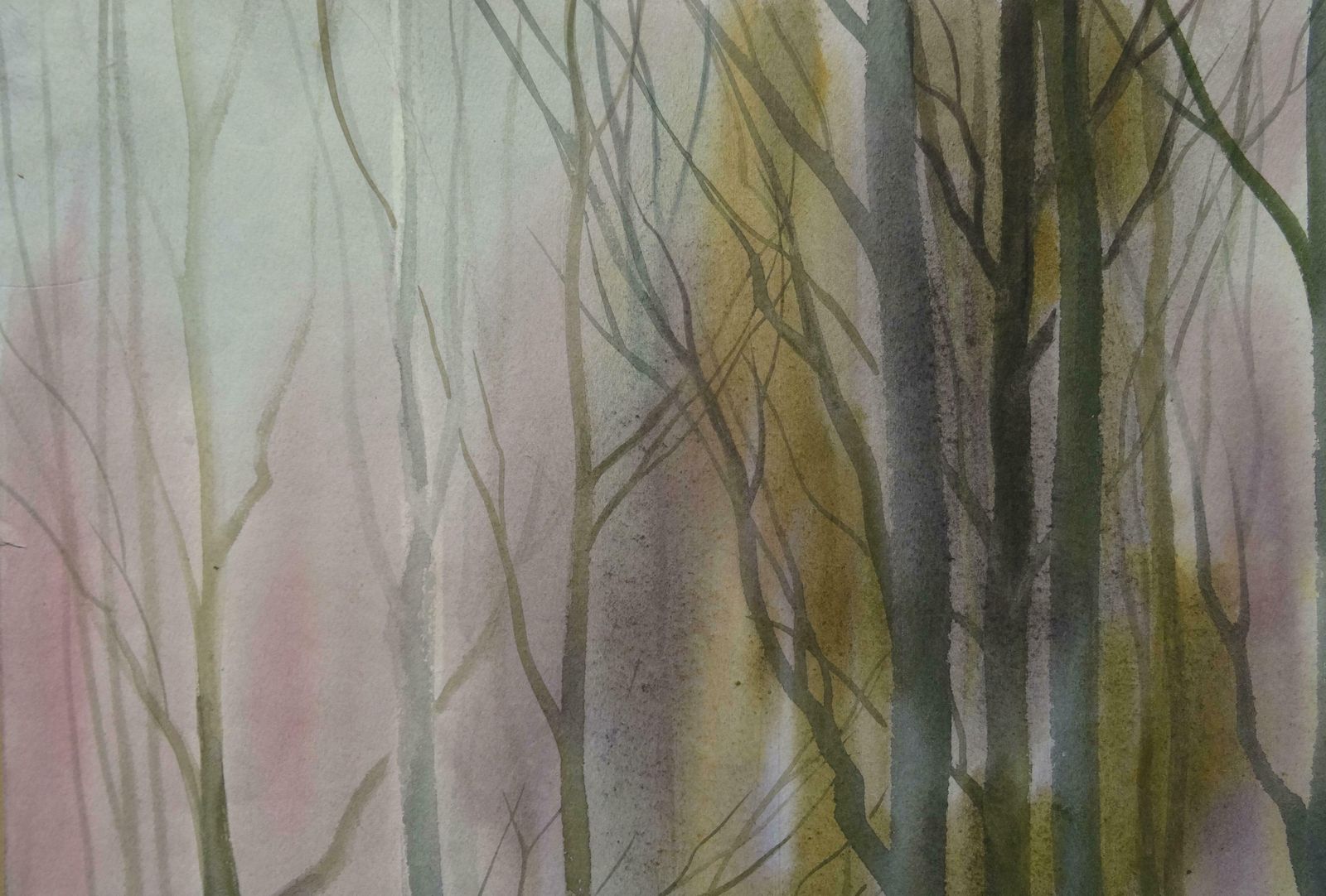 Zigmunds Snore In Early Spring. 2000. Paper, Watercolour, photo 352.0