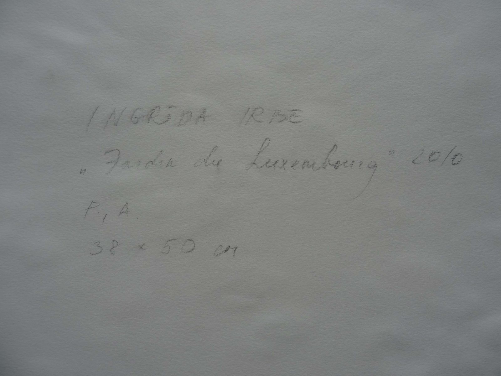 Ingrida Irbe Pink Flowers At Luxembourg Garden Paris. 2010. Watercolour On Paper photo vinterior