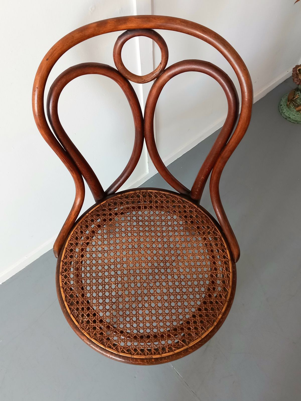 Thonet Chair, 1910s, Bentwood, Antique photo 220.0