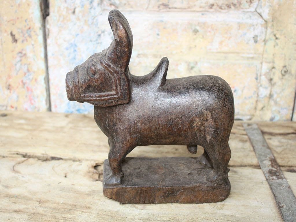 Old Tribal Nandi Bull, African