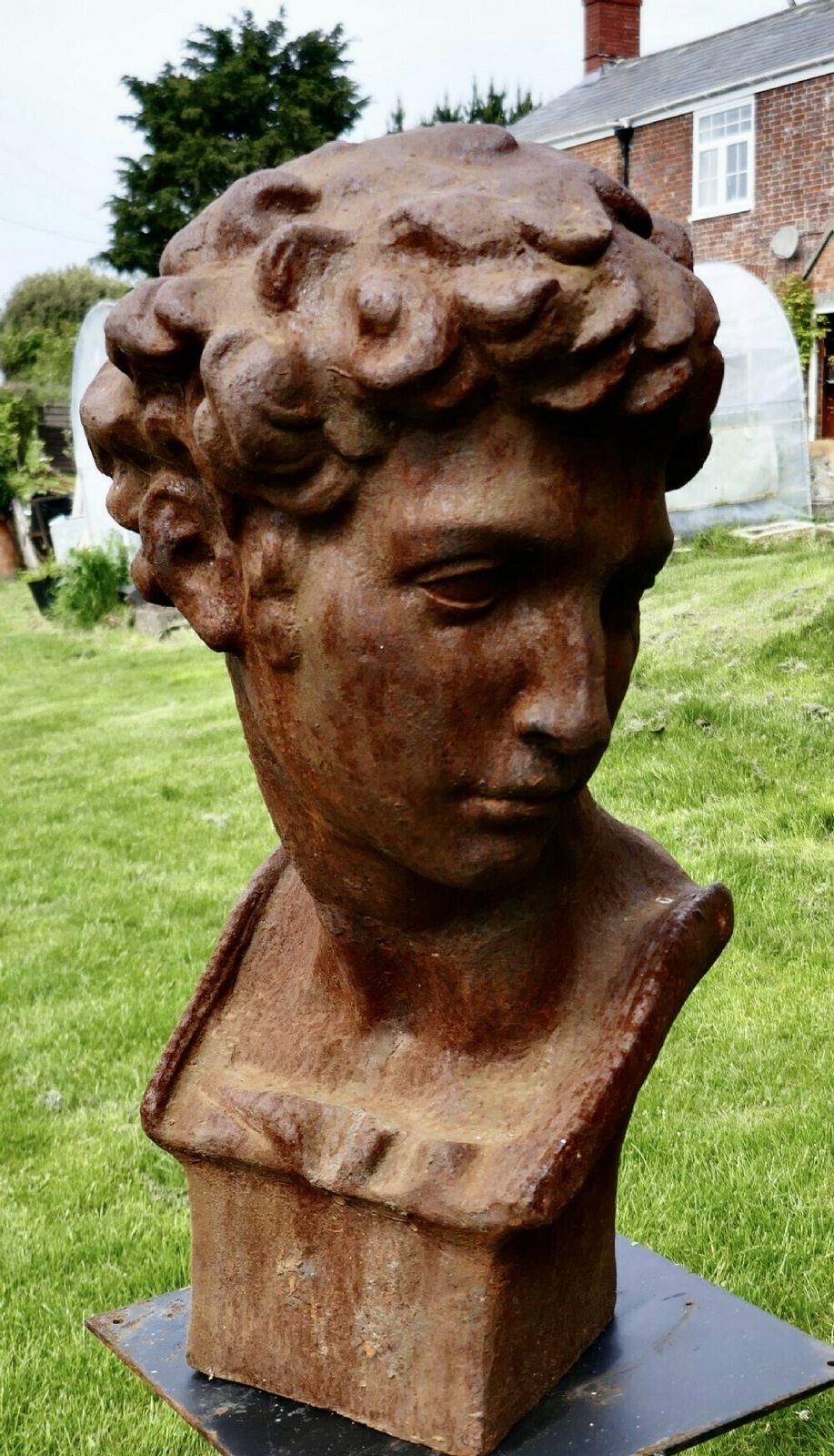Weathered Cast Iron Statue Of Michelangelo's David photo for sale
