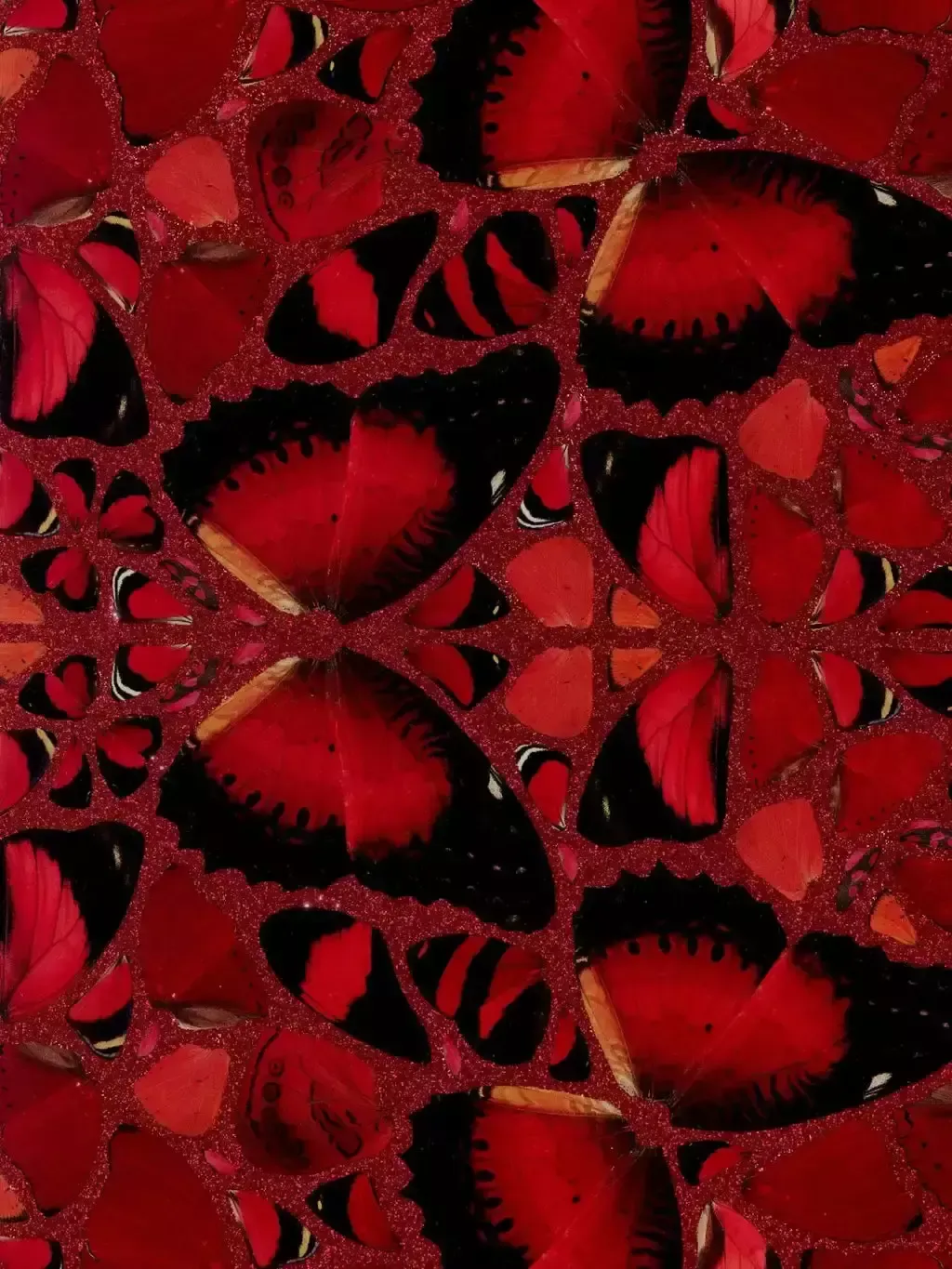 The Empresses   Nūr Jahān   H10 2 (2022) photo Art