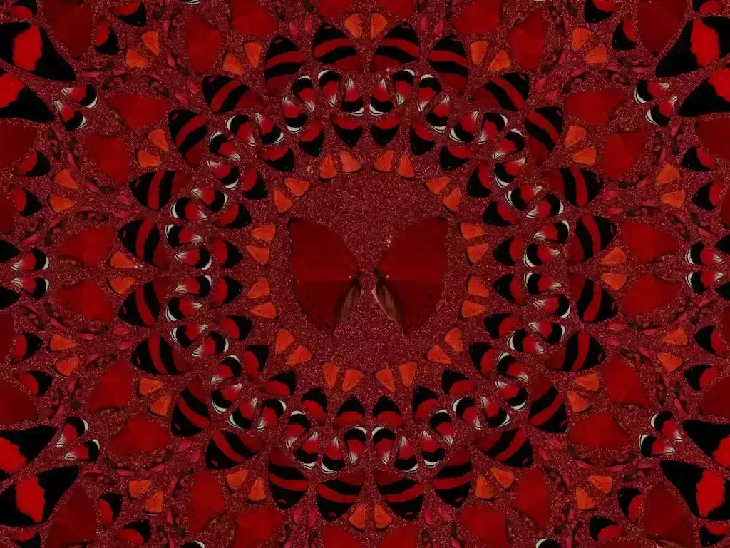The Empresses   Suiko   H10 4 (2022) photo Art