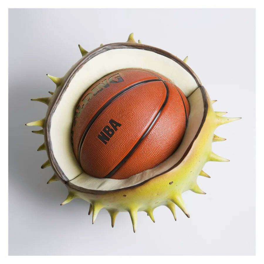 Divide And Conker (Signed Print) Giclee Print On Photographic Paper