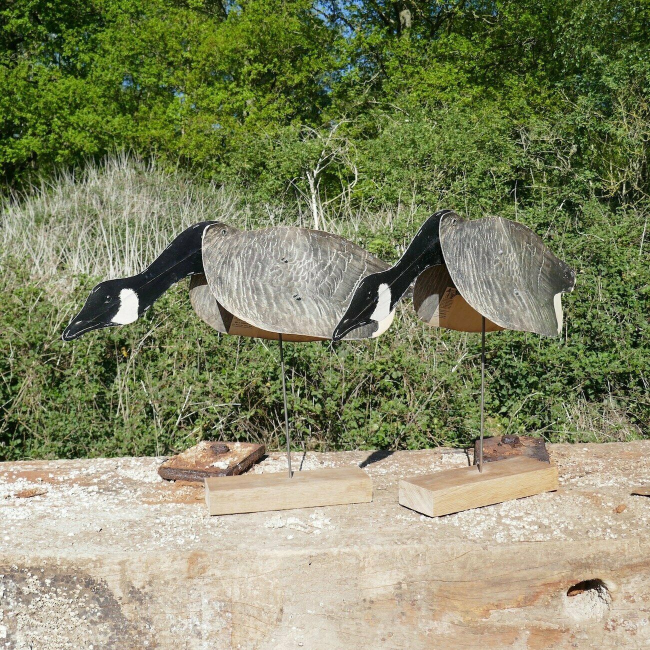 A Pair Of Feeding Folding Geese Decoys photo Garden Decor