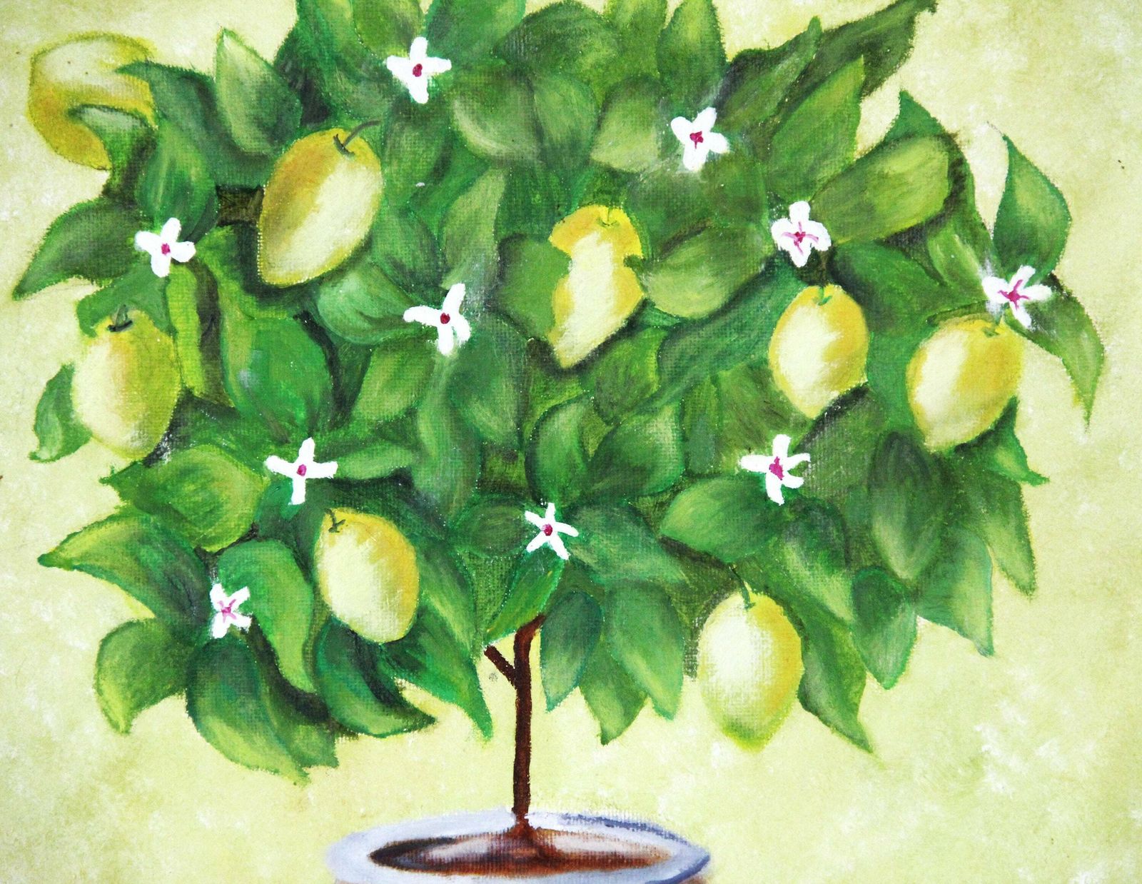 Still Life Lemon And Lemon Flowers By Toni photo 129.0