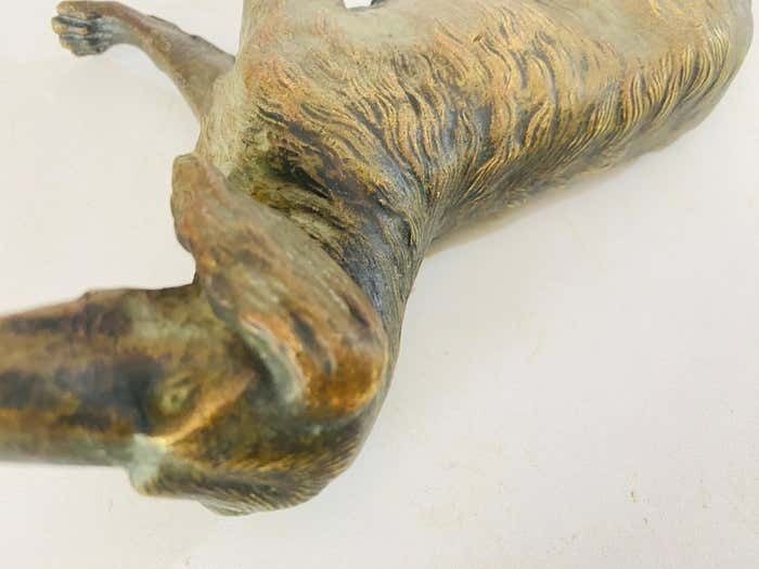 Antique Vienna Bronze Sculpture Of A Dog In Jules Moigniez Style, France, 1880 photo vinterior