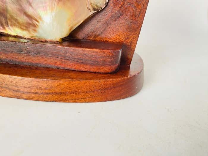 Table Lamp Carved In Wood With Shell Shade Brown Color, France, 1950 photo 470.0