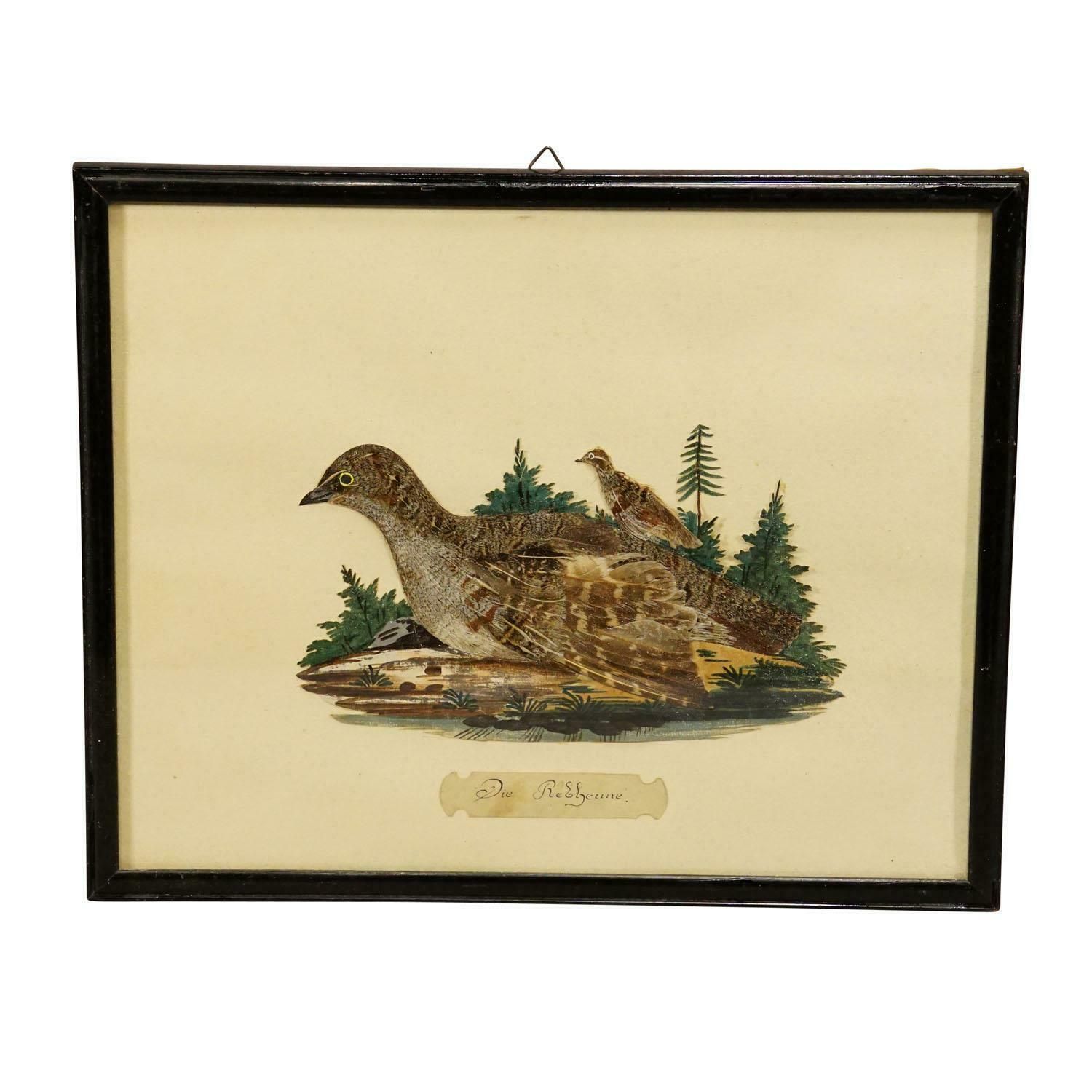 Victorian Taxidermy Diorama With Partridge, Germany Ca. 1900