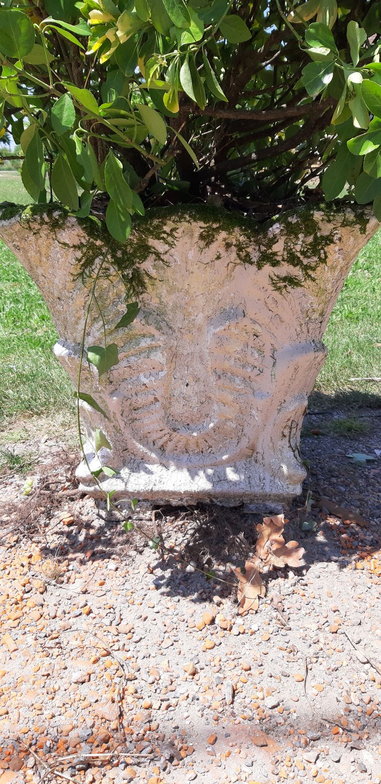 1960s Reconstructed Stone Planter With Plant photo furniture