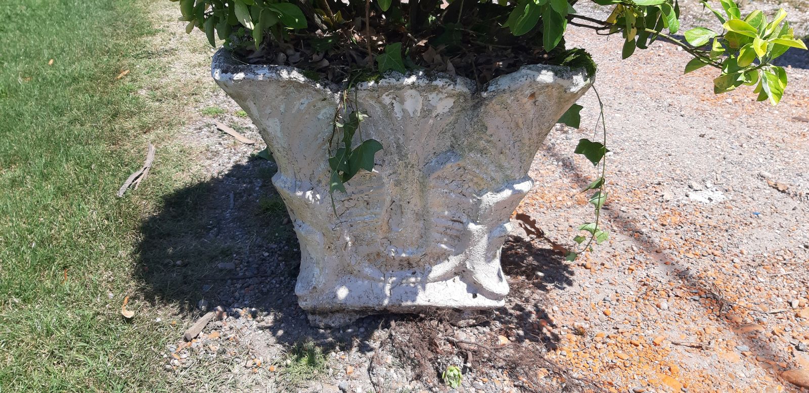 1960s Reconstructed Stone Planter With Plant photo Garden Decor