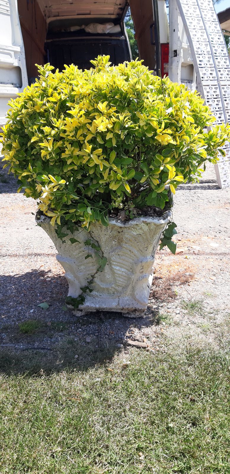 1960s Reconstructed Stone Planter With Plant photo 496.0