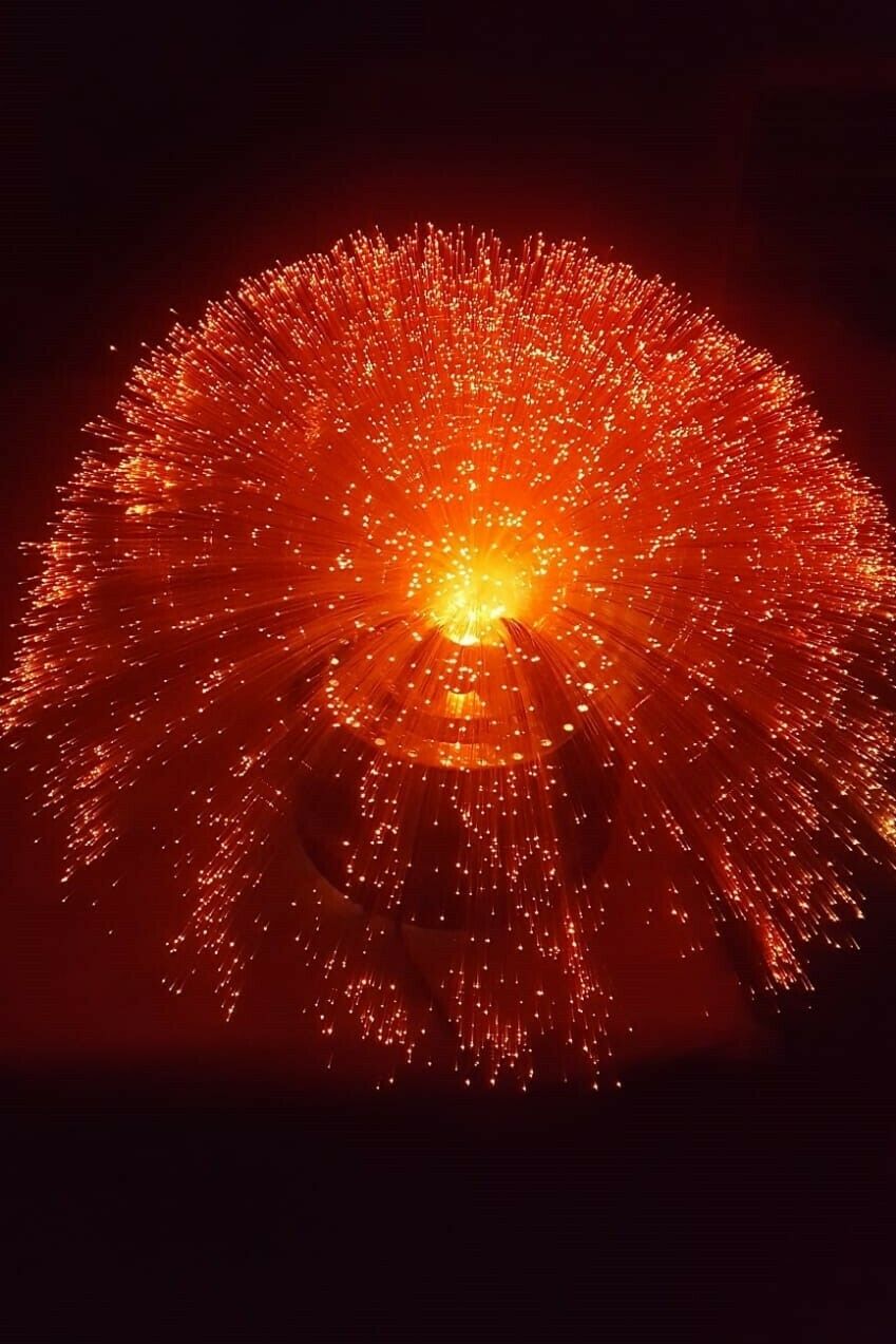 photo vinterior Swivel Fiber Optic Table Lamp From The 70s