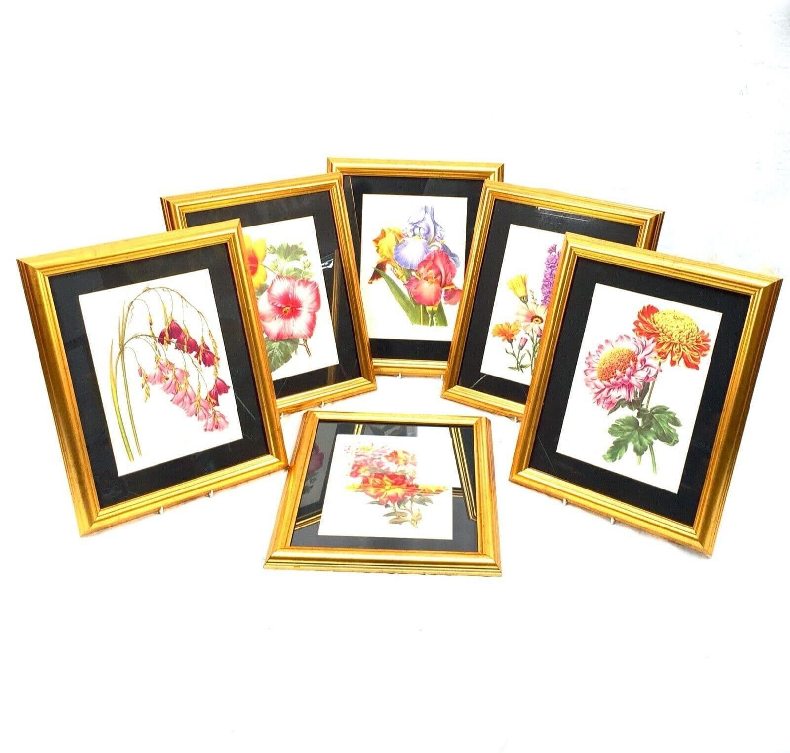 Vintage Framed Flower Picture Set Of 6 The Amateur Gardening Magazine / Antique