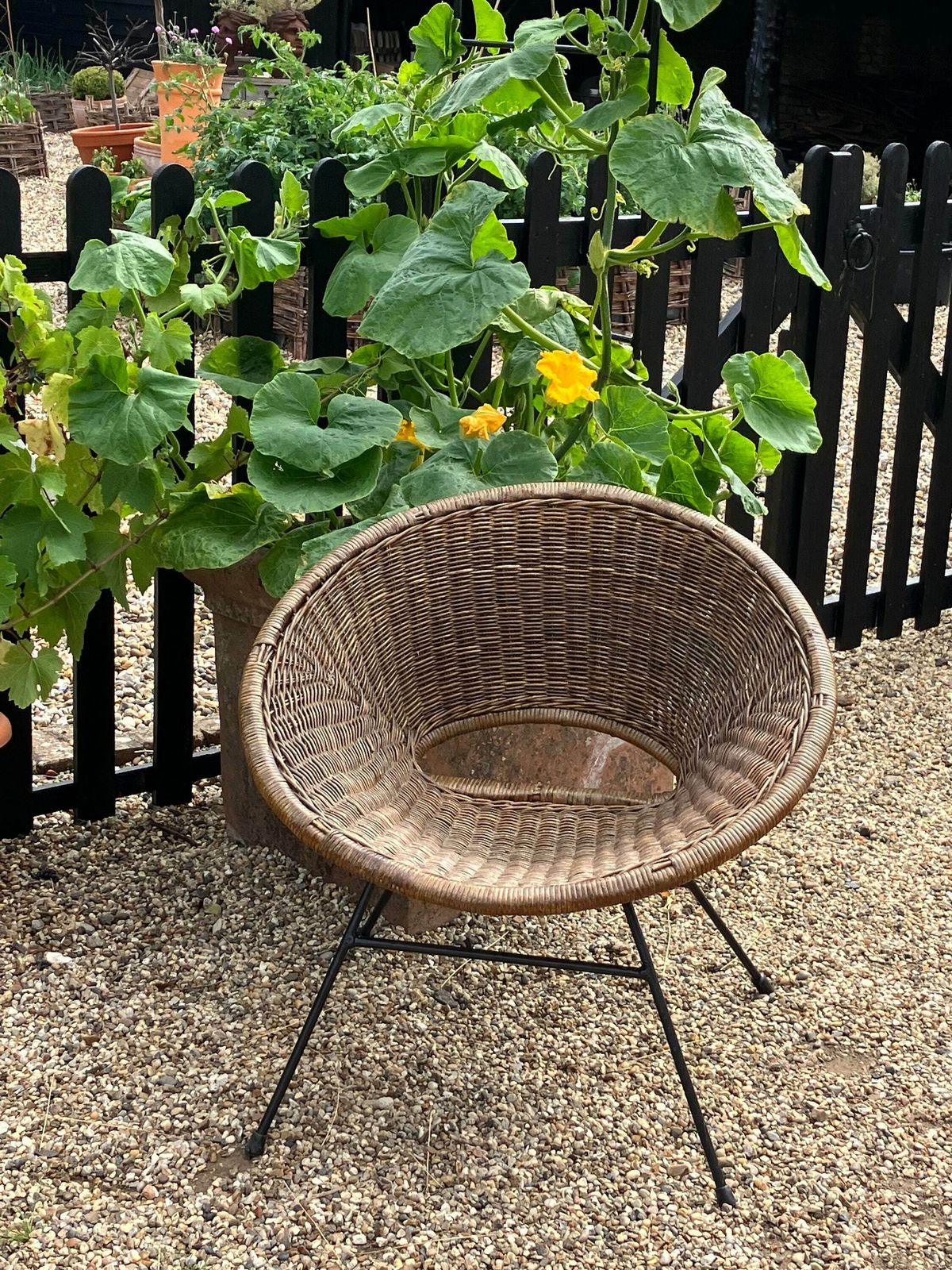 Hollywood Regency Rattan Armchair By Janine Abraham And Dirk Jan Rol photo buy