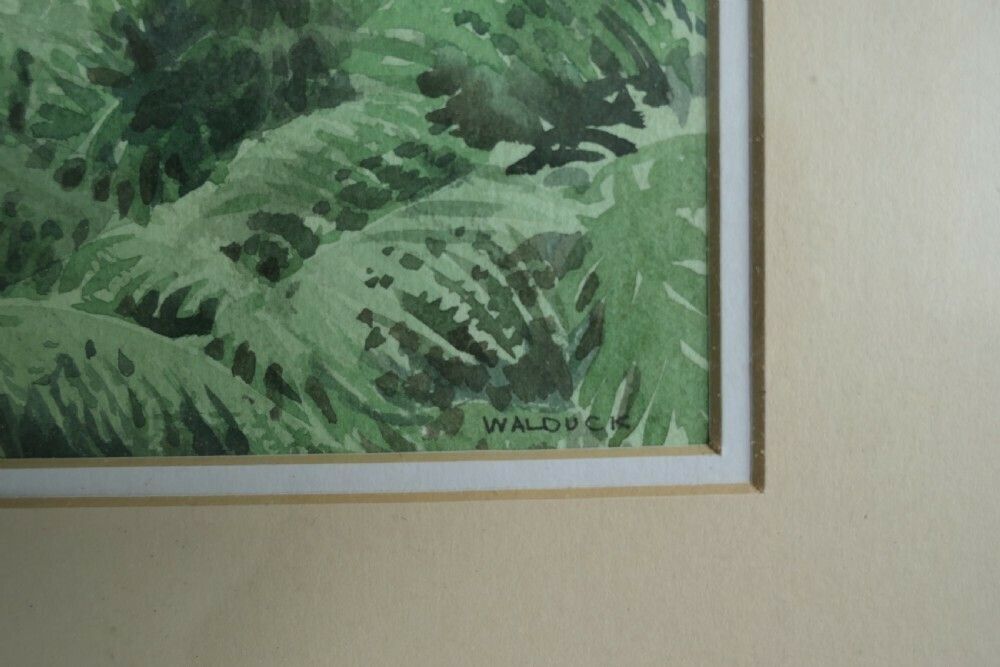Framed And Glazed Ink And Watercolour By Desmond Walduck photo for sale
