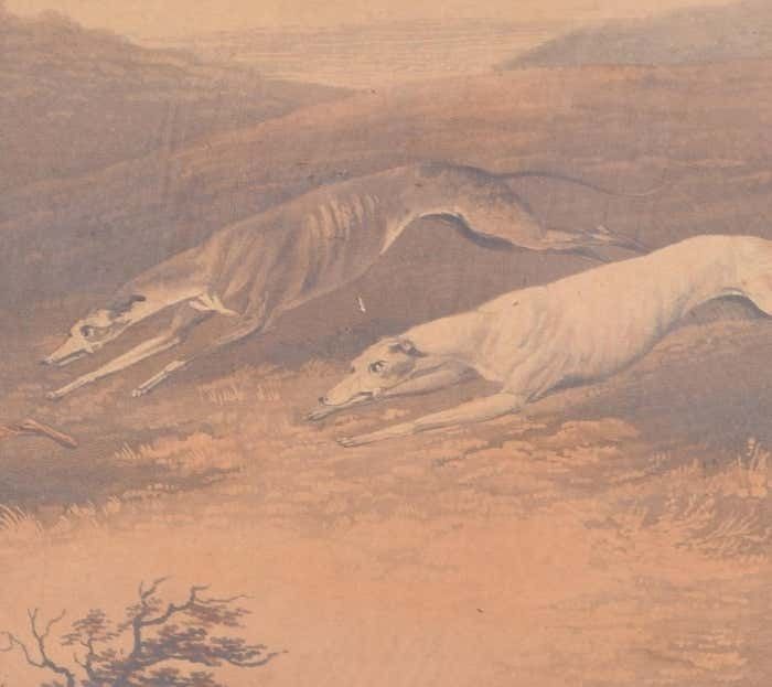 Hare Coursing 19th Century Print After Dean Wolstenhome The Elder photo for sale