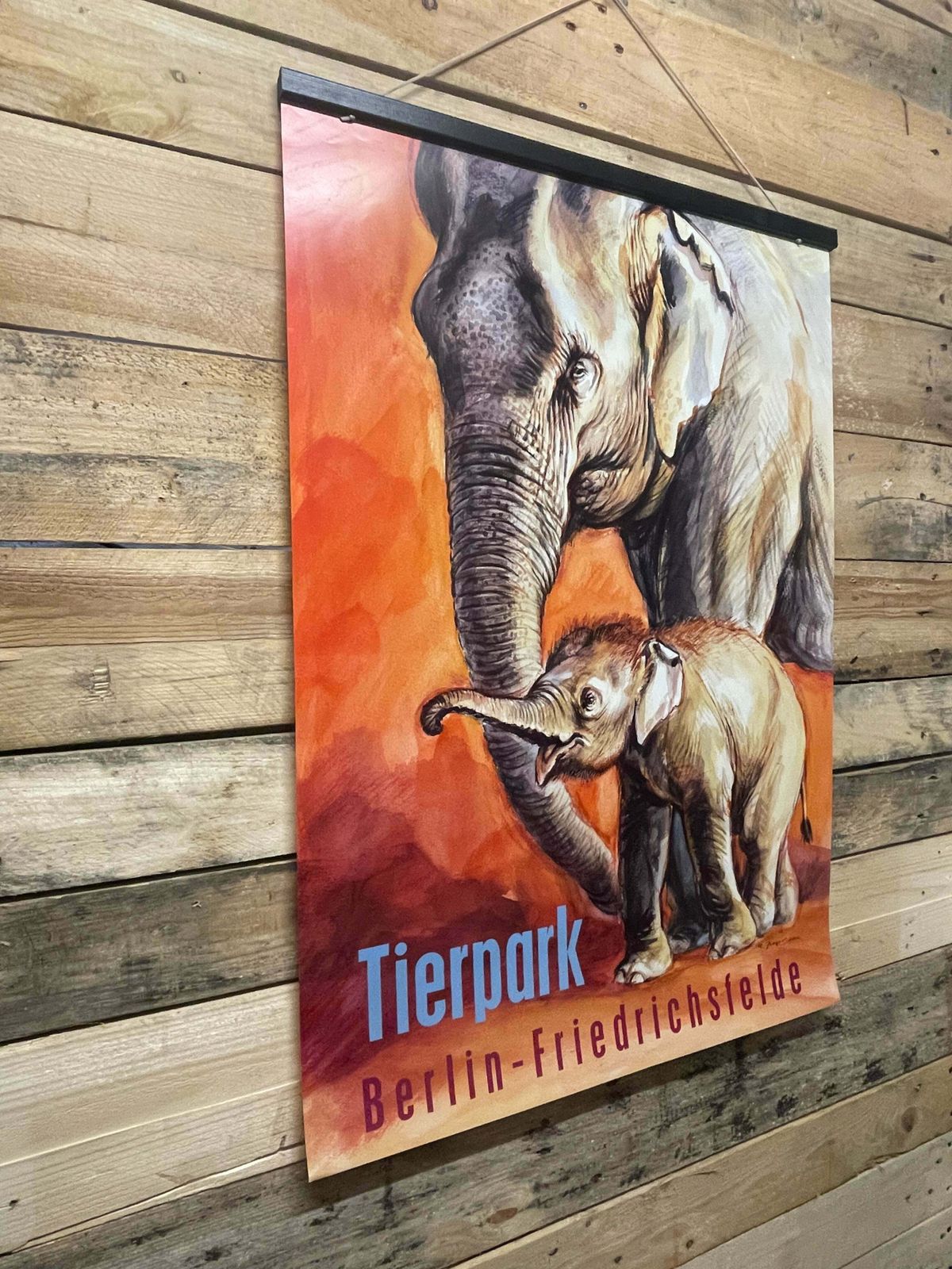 Rare Tierpark Berlin Elephants Original Zoo Poster By Reiner Zieger photo vintage