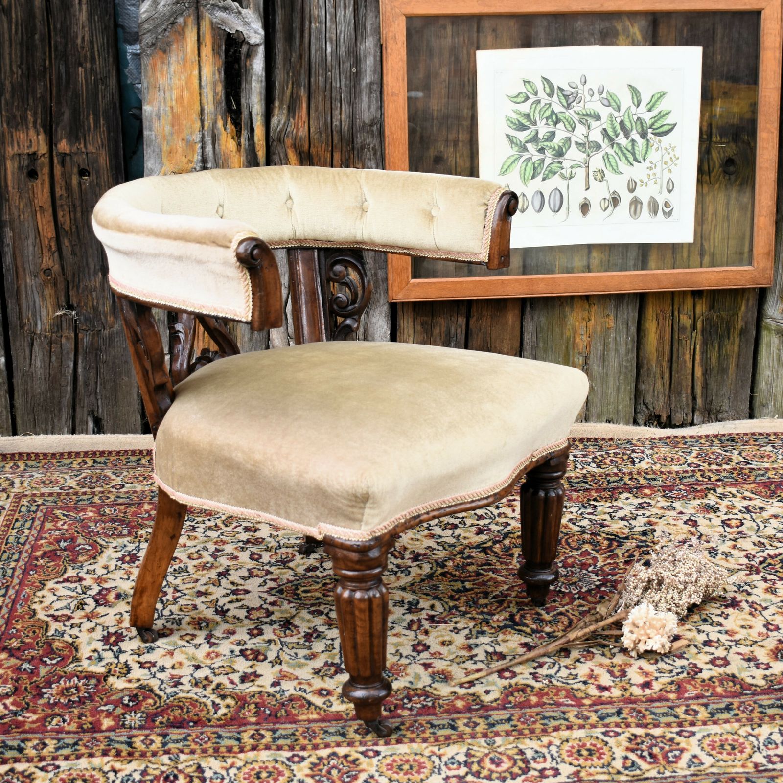 Antique Victorian Mahogany Cockfighting Horseshoe Library Statement Arm Chair photo furniture