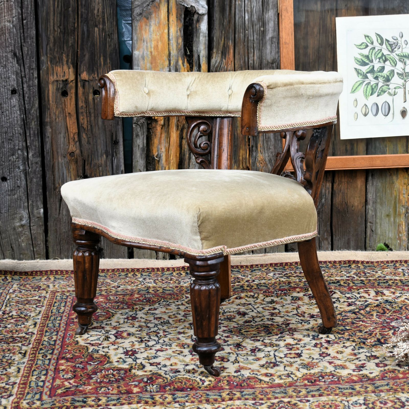 photo furniture Antique Victorian Mahogany Cockfighting Horseshoe Library Statement Arm Chair