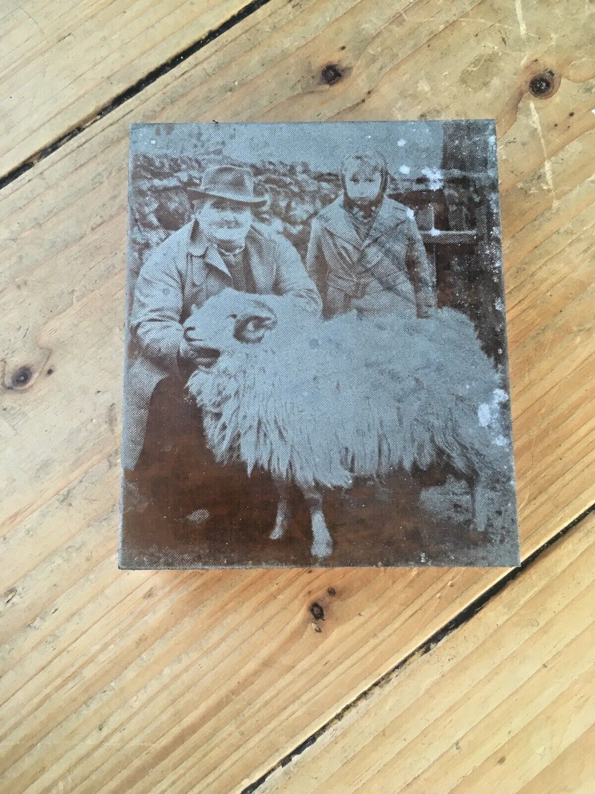 N.Wales Sheep Farmer Prize Ram Etched Copper Printing Plate Block Photo Negative photo furniture