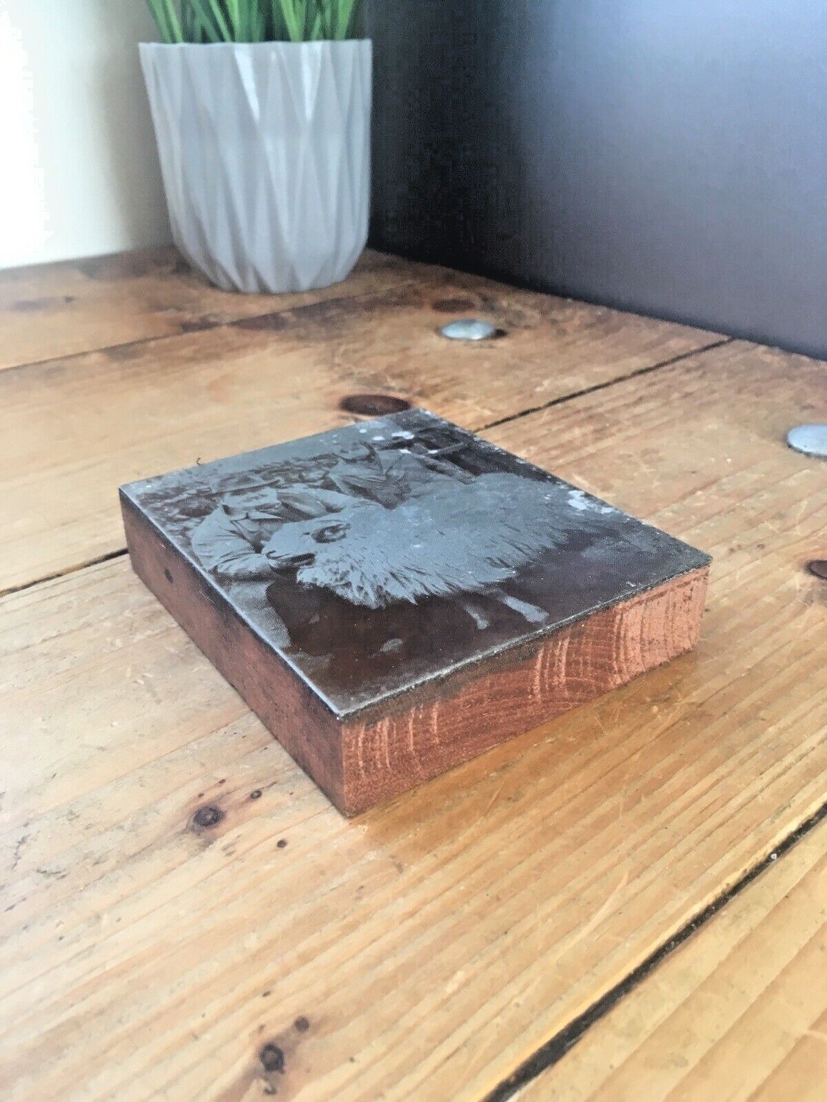 N.Wales Sheep Farmer Prize Ram Etched Copper Printing Plate Block Photo Negative photo for sale