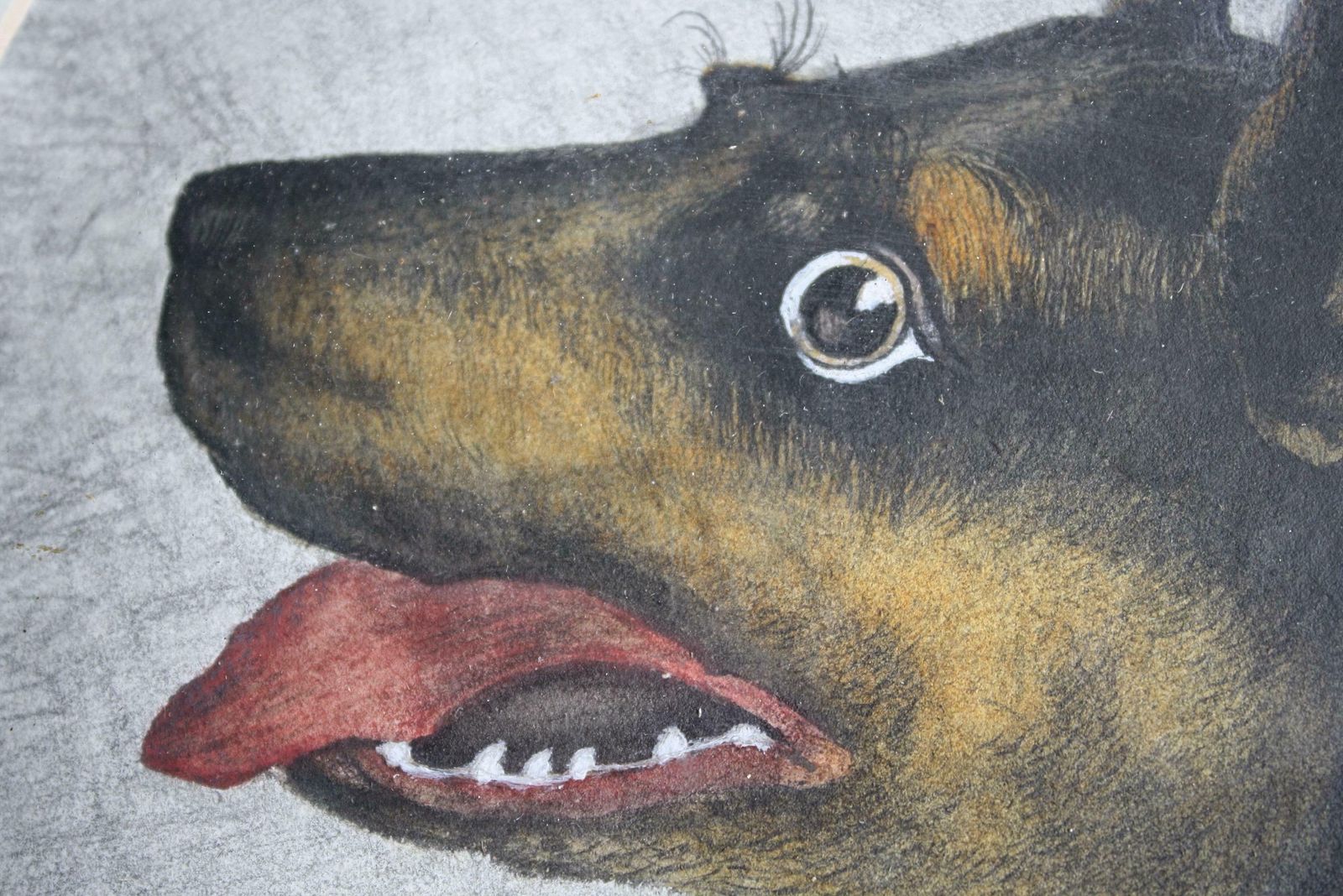 Early 20th Century Folk Art Pencil On Paper Odd Dog Job Oak Frame Rottweiler photo vintage