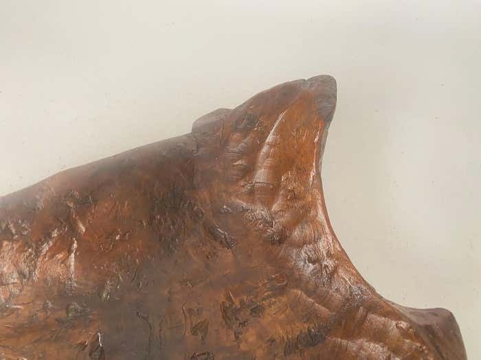 Brutalist Root Wood Vide Poche Or Bowl 1960 France With Old Patina Riviera photo vintage