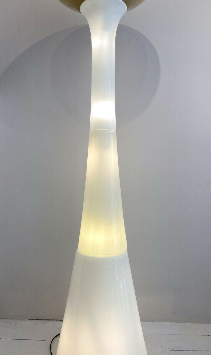 Mid Century Modern Floor Lamp By Carlo Nason For Selenova photo furniture