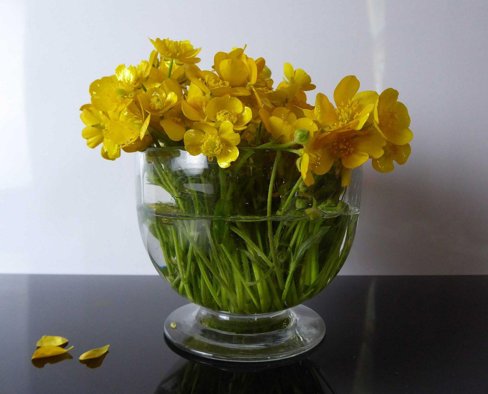 Antique Glass Posy Vase | Blown Glass Compote Bowl | Vintage Finger Bowl | Collectible Glassware photo vinterior