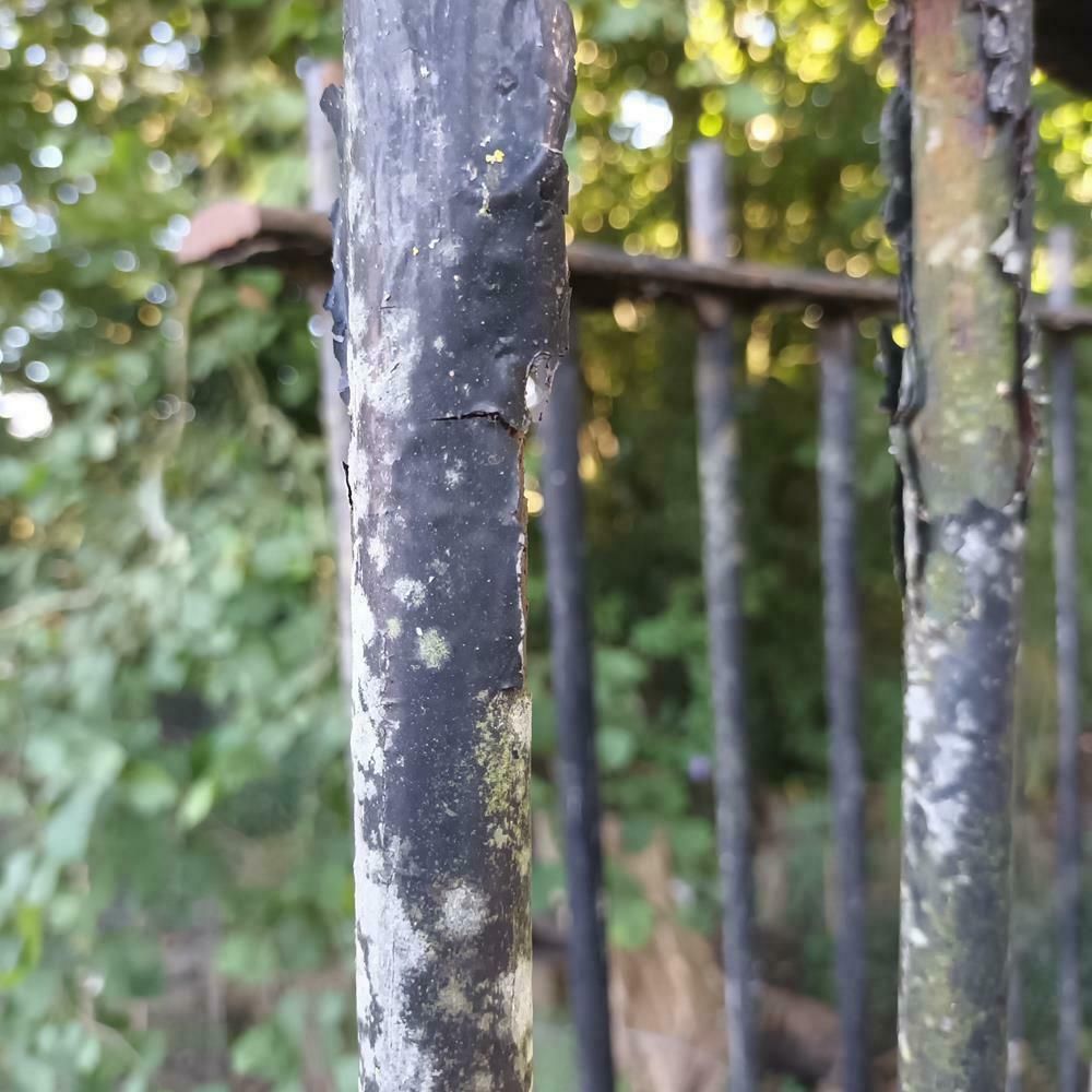 photo vinterior A Run Of Victorian Iron Railings