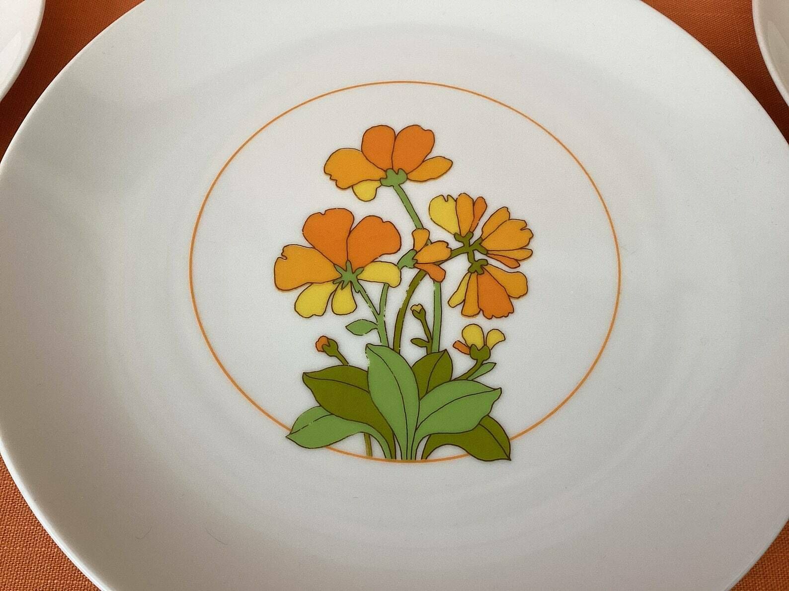 Thomas Germany theebordes en cakebordje in het 'Summer'-design, jaren 1970 (set van 7), retro Thomas porselein Summertime-bordes (7"), Rosenthal photo furniture