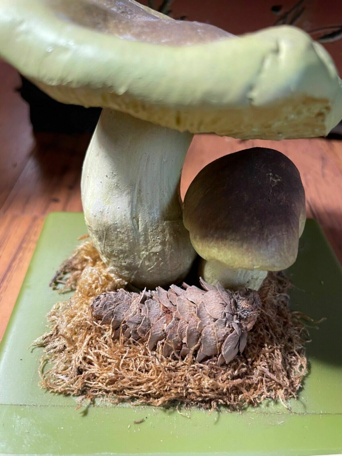 Vintage Somso Yellow Knight Mushrooms Educational Model Fungus School Model photo vinterior