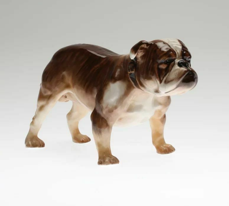 "Bulldog" Royal Doulton, 1800s photo furniture