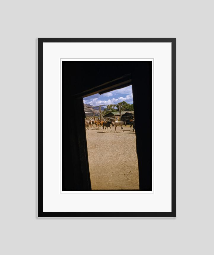 The Round Up By Toni Frissell Archival Pigment Print Framed In Black