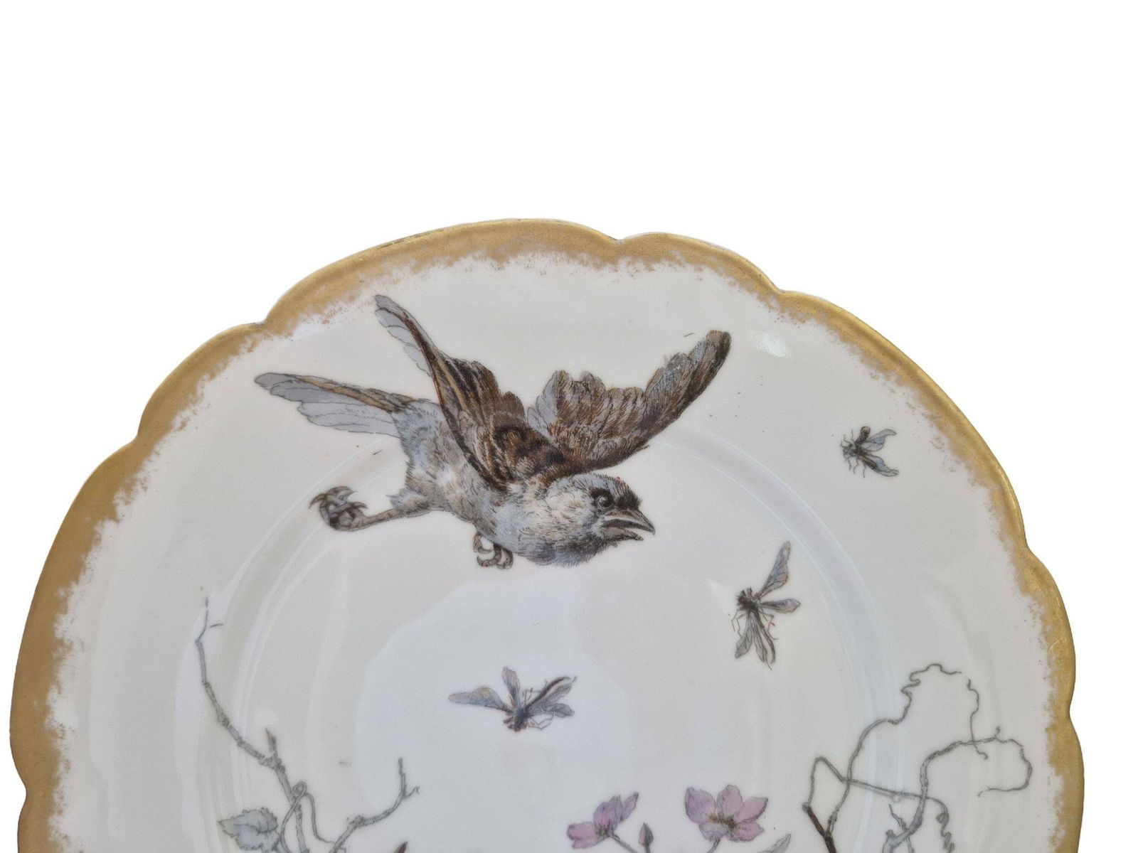 Limoges Porcelain Wall Plate With Hand Painted Birds And Insects By Adolphe Hache & Cie, French Cabinet Plate photo Art