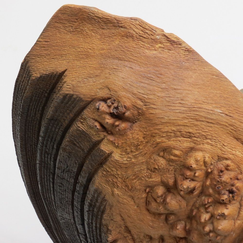 Very Large Handmade Mike Scott Chai Wall Sculpture In Burr Oak photo furniture