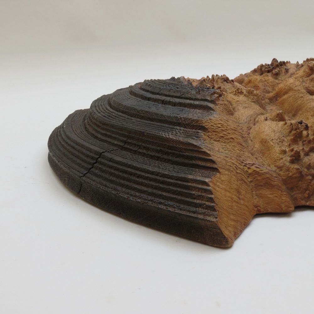 Very Large Handmade Mike Scott Chai Wall Sculpture In Burr Oak photo Art