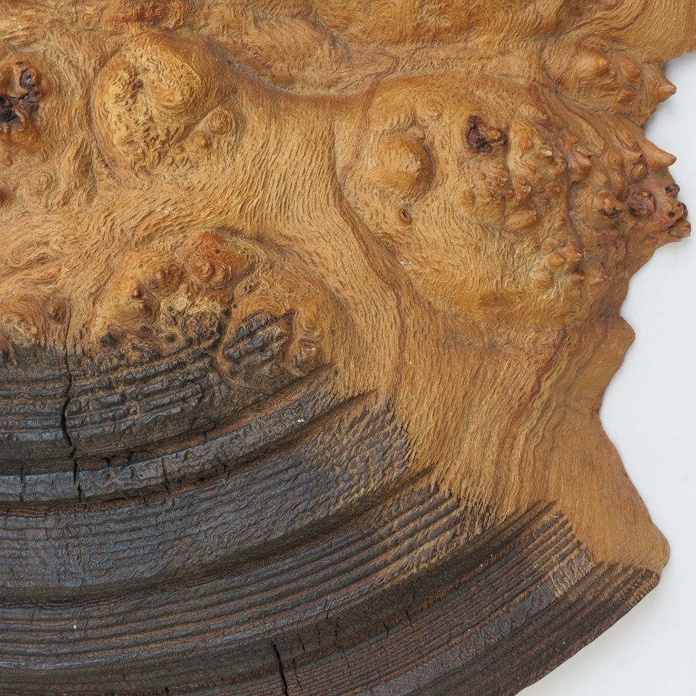 Very Large Handmade Mike Scott Chai Wall Sculpture In Burr Oak photo vintage