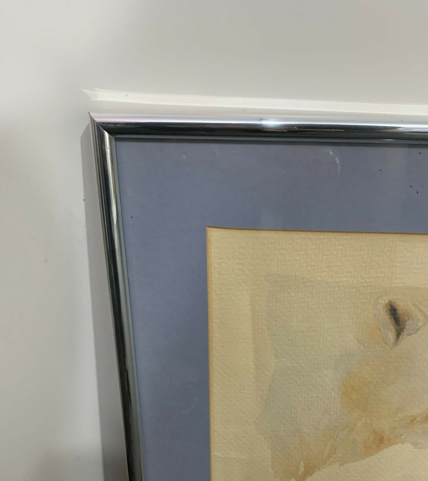 Limited Edition Polar Bear Print. Signed And Dated By The Artist 1982 photo Art