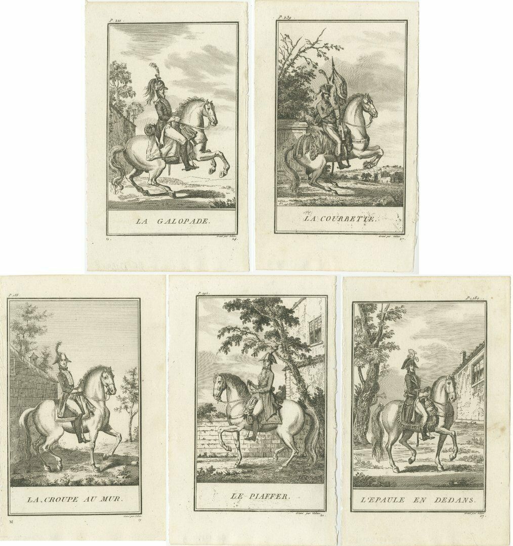 Set Of 5 Antique Horse Riding Prints, Le Piaffer, La Galopade, La Courbette