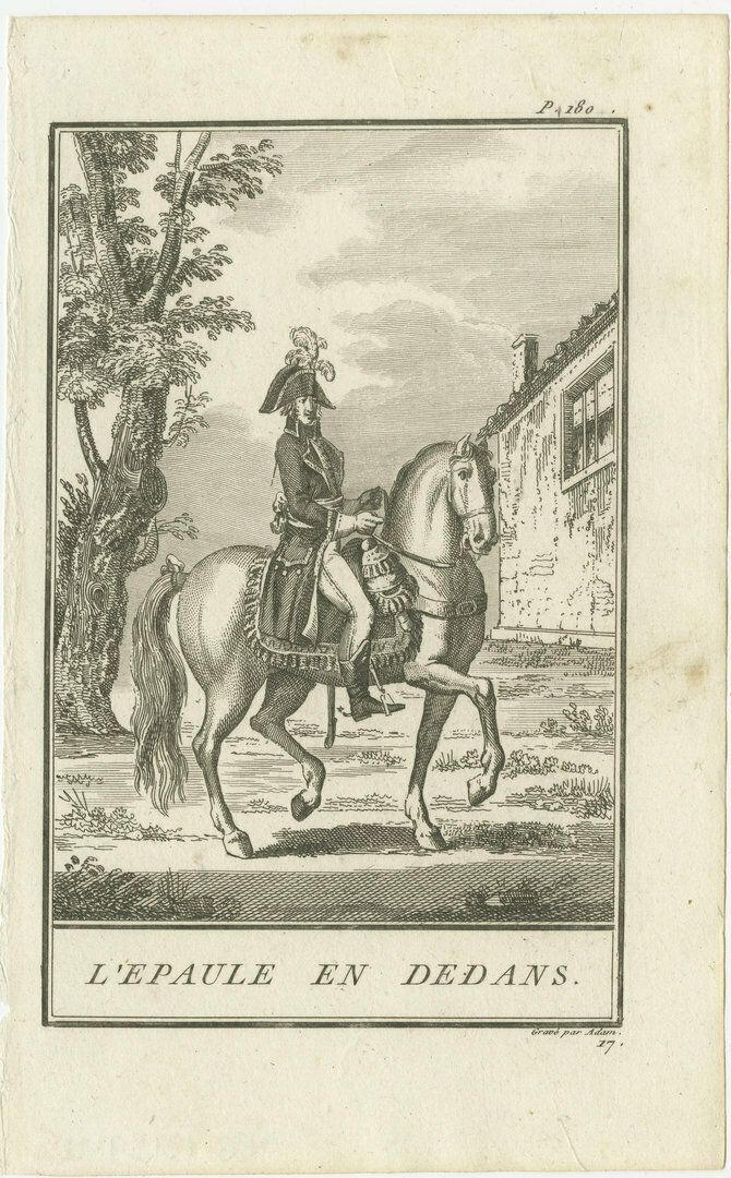 Set Of 5 Antique Horse Riding Prints, Le Piaffer, La Galopade, La Courbette photo vinterior